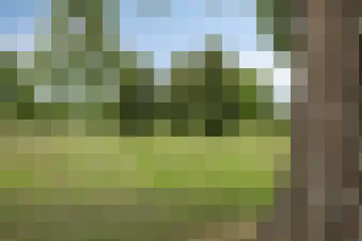 Talmastraat 107 Waalwijk thumbnail 33