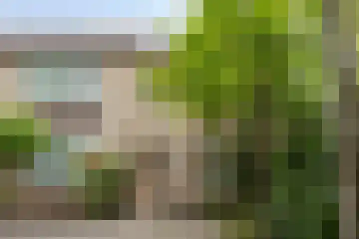 Talmastraat 107 Waalwijk thumbnail 5