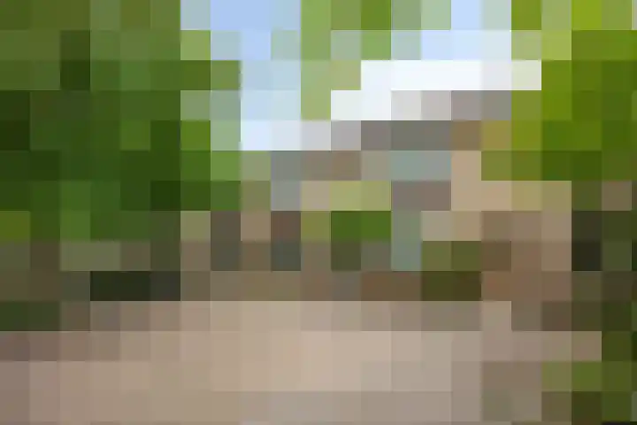 Talmastraat 107 Waalwijk thumbnail 6