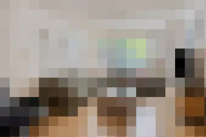 Talmastraat 107 Waalwijk thumbnail 7