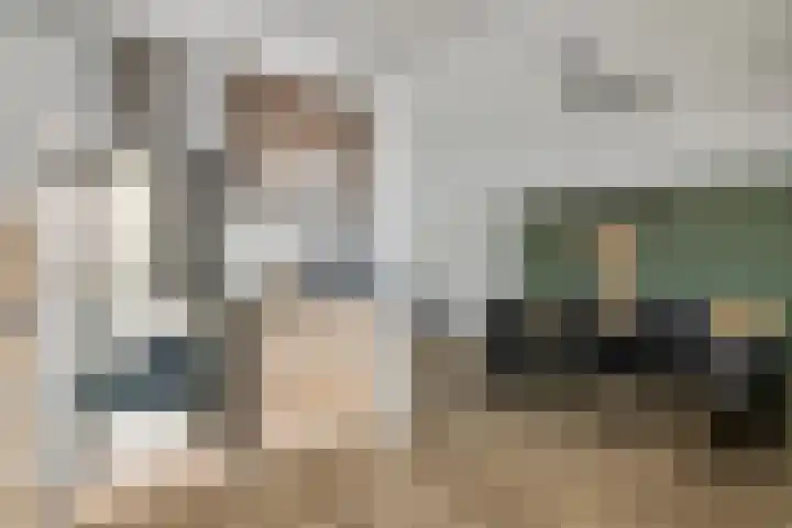Talmastraat 11 Geldermalsen thumbnail 12