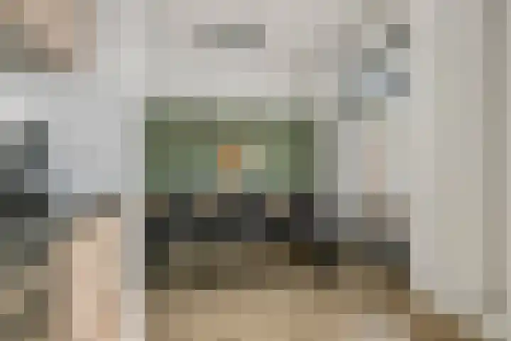 Talmastraat 11 Geldermalsen thumbnail 13