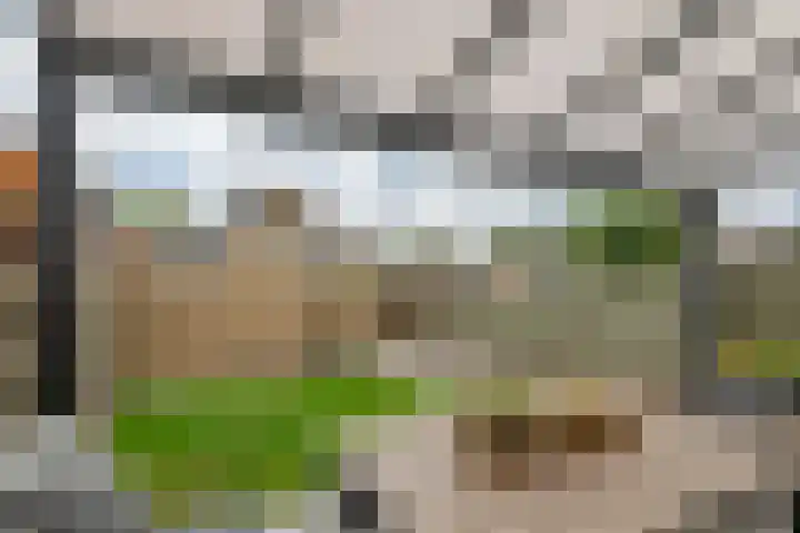 Talmastraat 11 Geldermalsen thumbnail 32