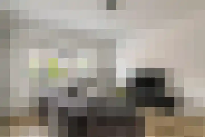 Talmastraat 11 Geldermalsen thumbnail 4