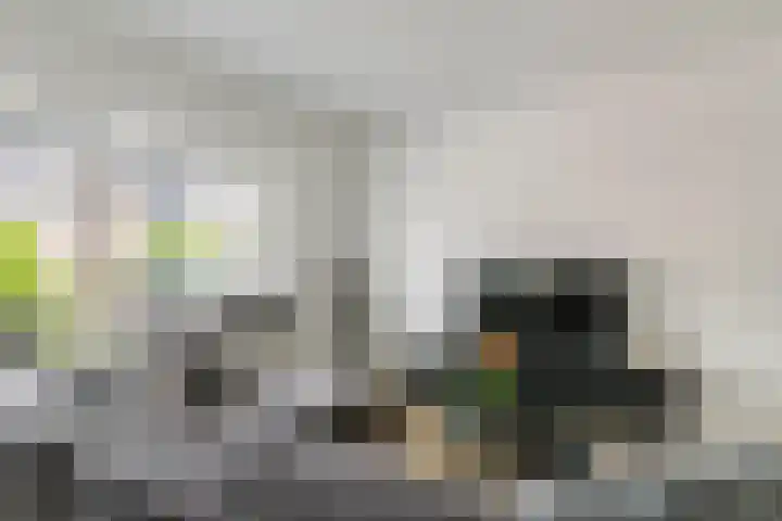 Talmastraat 11 Geldermalsen thumbnail 5