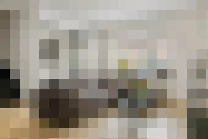 Talmastraat 11 Geldermalsen thumbnail 6