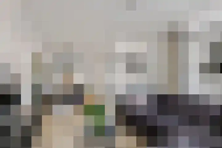 Talmastraat 11 Geldermalsen thumbnail 8