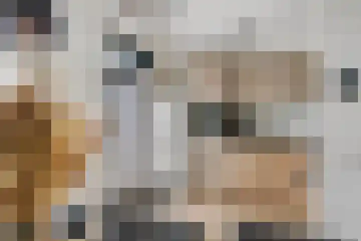 Talmastraat 11 Geldermalsen thumbnail 9