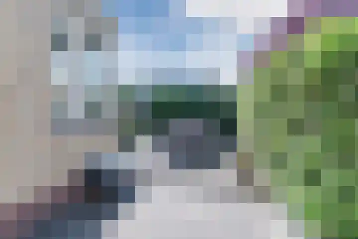 Talmastraat 11 Rijen thumbnail 18
