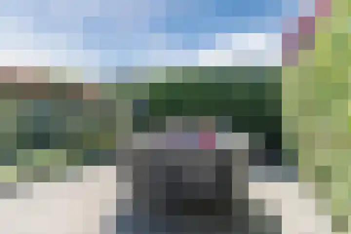 Talmastraat 11 Rijen thumbnail 19
