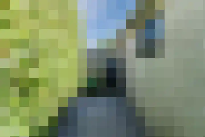 Talmastraat 11 Rijen thumbnail 20