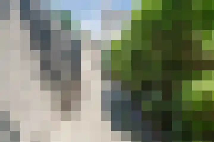 Talmastraat 11 Rijen thumbnail 47