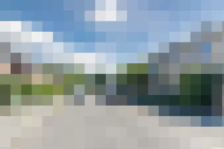 Talmastraat 11 Rijen thumbnail 49