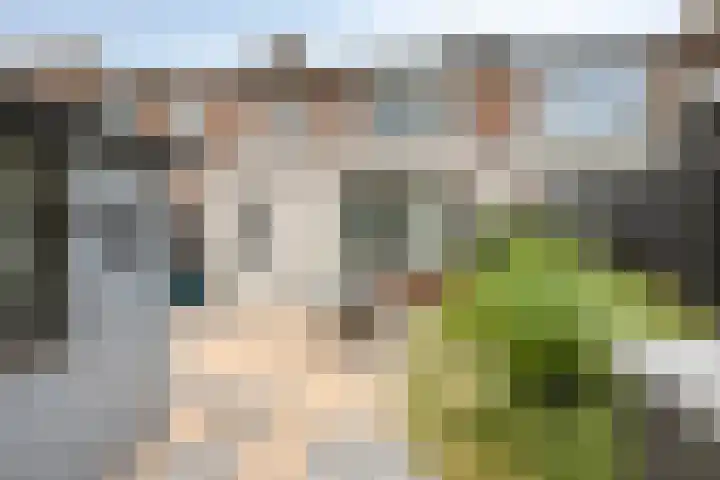 Talmastraat 12 Oss thumbnail 20