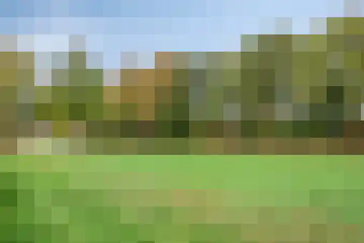 Talmastraat 12 Oss thumbnail 26