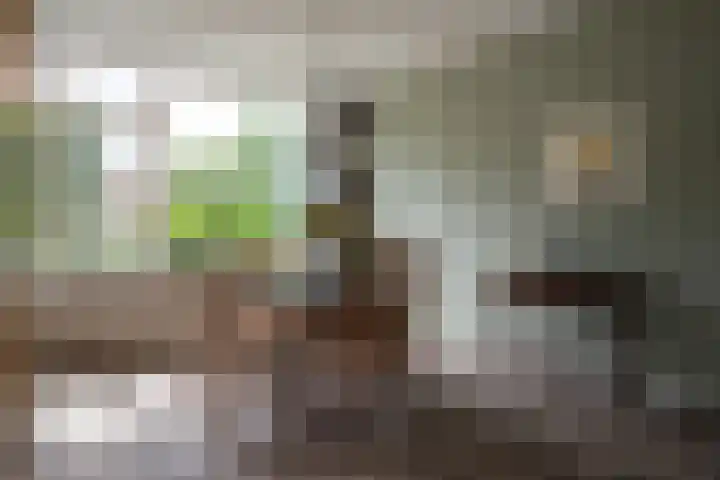 Talmastraat 13 Hoogezand thumbnail 20