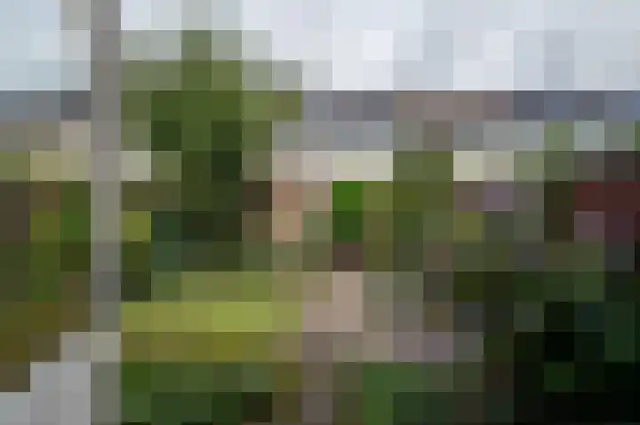 Talmastraat 13 Hoogezand thumbnail 37