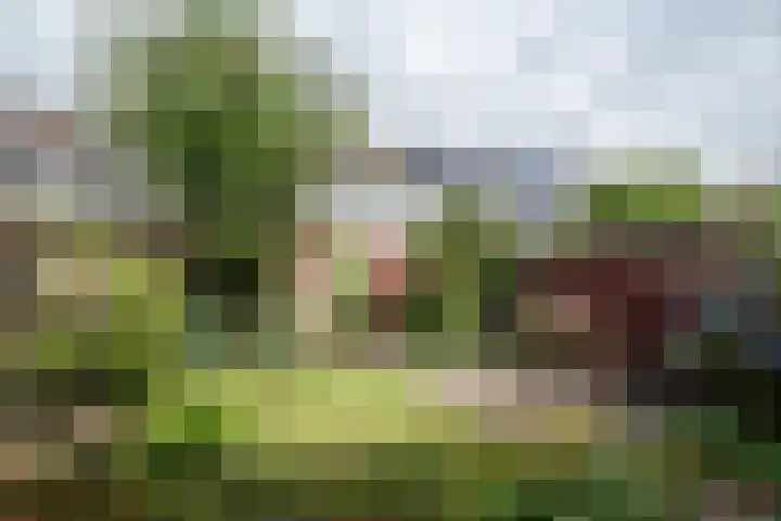 Talmastraat 13 Hoogezand thumbnail 38