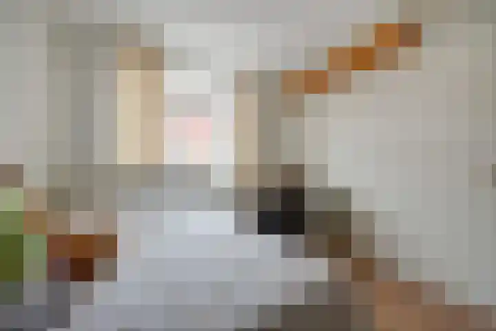 Talmastraat 14 Naaldwijk thumbnail 31