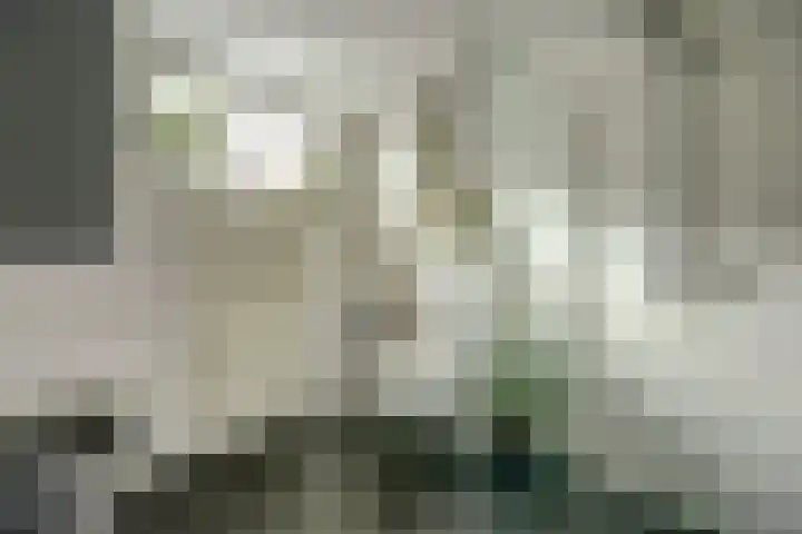 Talmastraat 14 Naaldwijk thumbnail 34