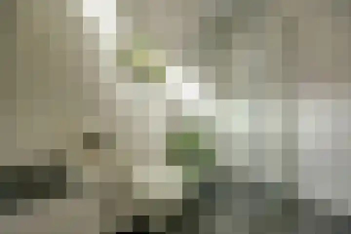 Talmastraat 14 Naaldwijk thumbnail 35