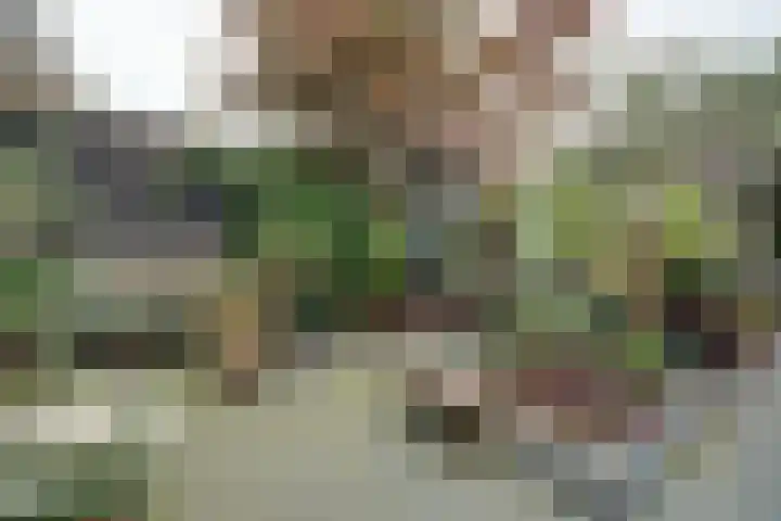 Talmastraat 14 Naaldwijk thumbnail 41