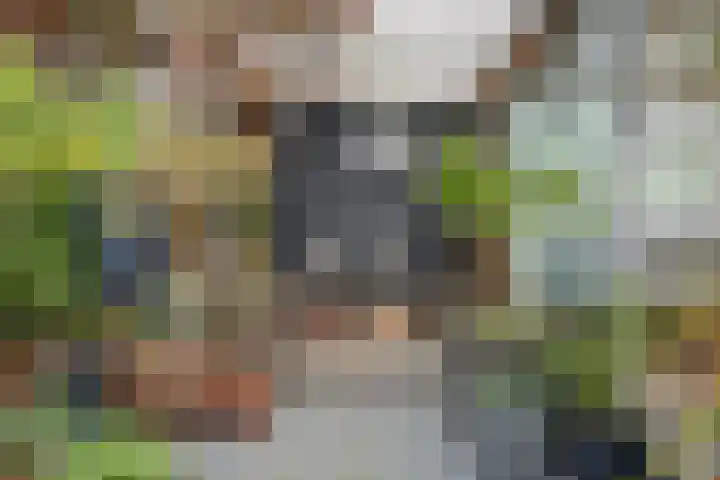 Talmastraat 14 Naaldwijk thumbnail 44