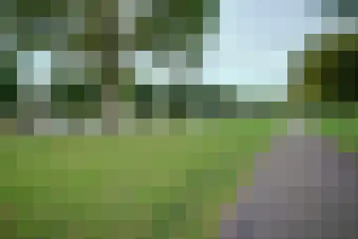 Talmastraat 14 Naaldwijk thumbnail 50