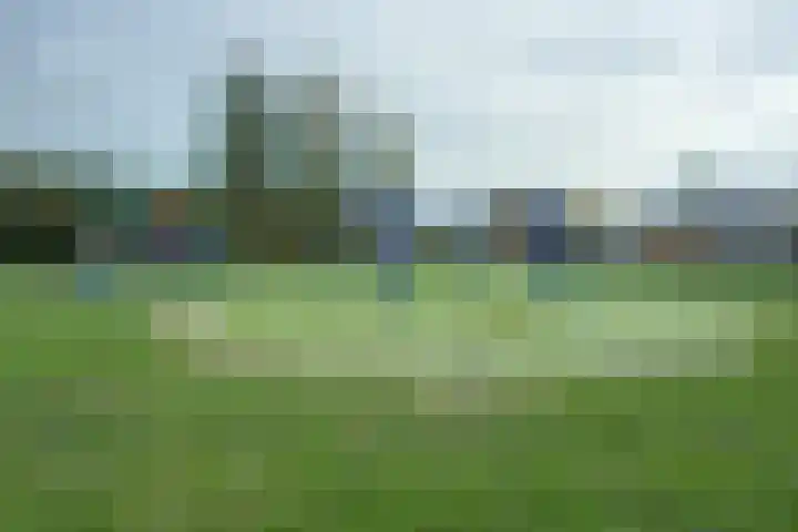 Talmastraat 14 Naaldwijk thumbnail 51