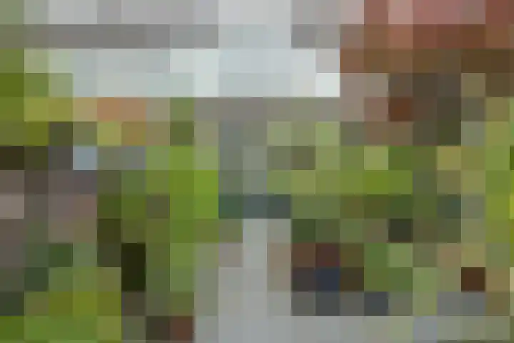 Talmastraat 14 Naaldwijk thumbnail 6