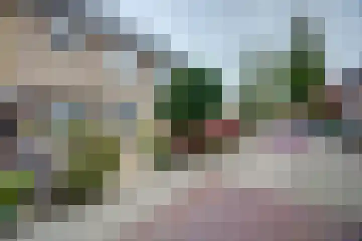 Talmastraat 14 Naaldwijk thumbnail 9