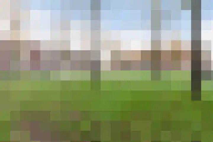 Talmastraat 15 Alblasserdam thumbnail 34