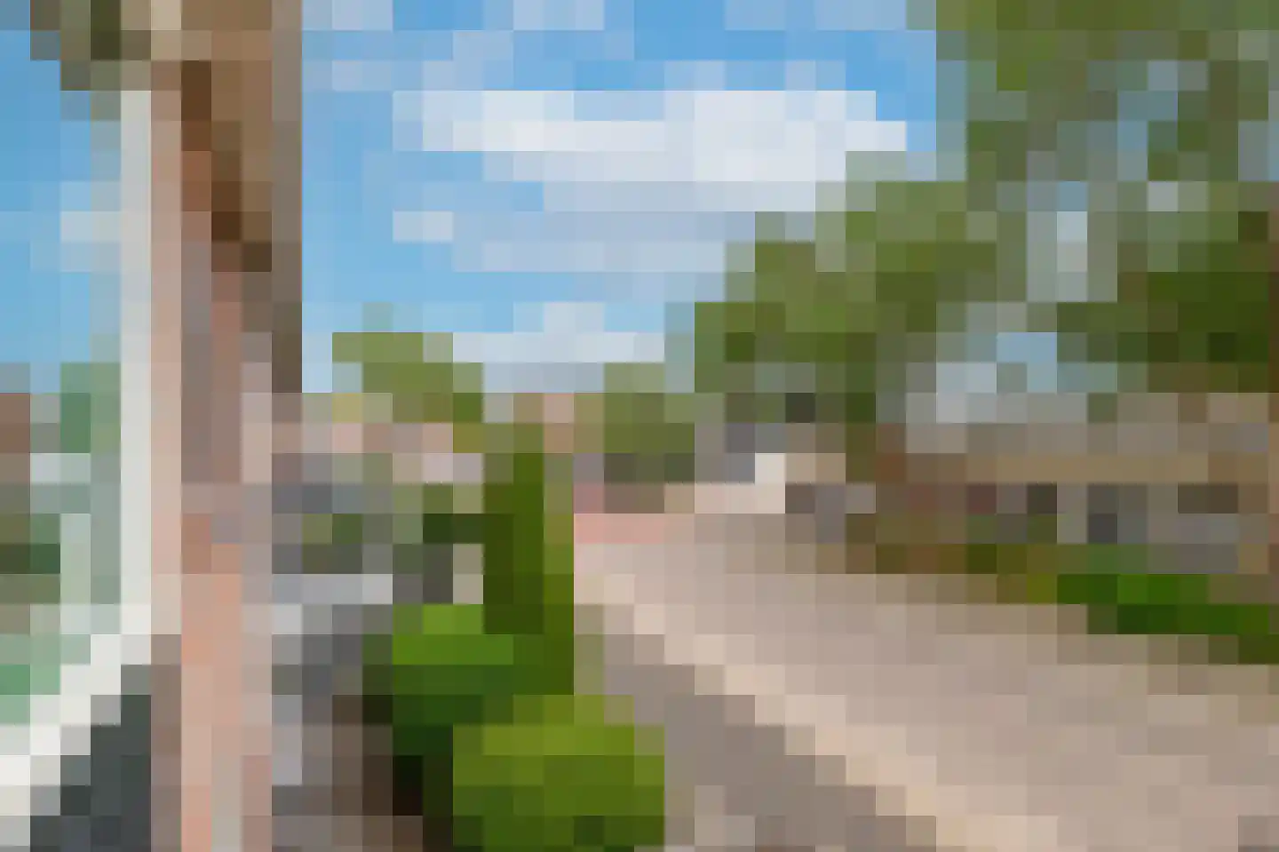 Talmastraat 18 Lekkerkerk thumbnail 22