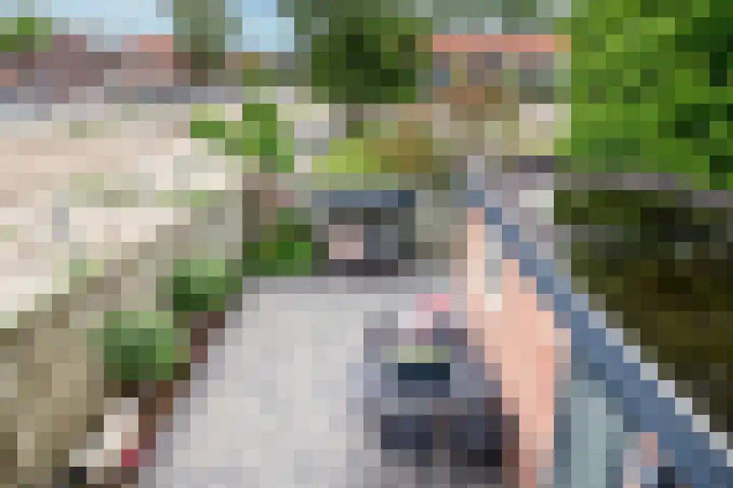 Talmastraat 18 Lekkerkerk thumbnail 31