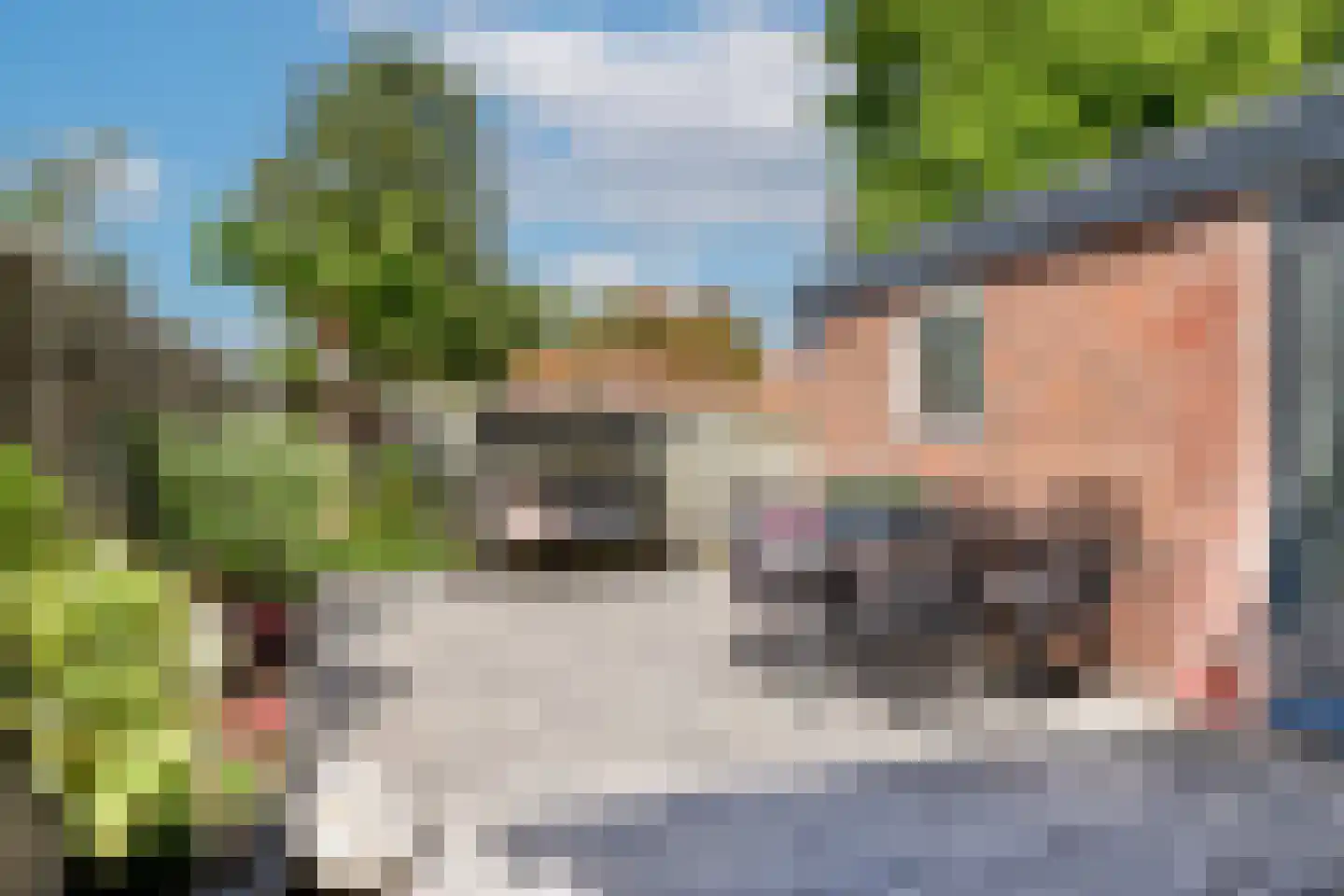 Talmastraat 18 Lekkerkerk thumbnail 32