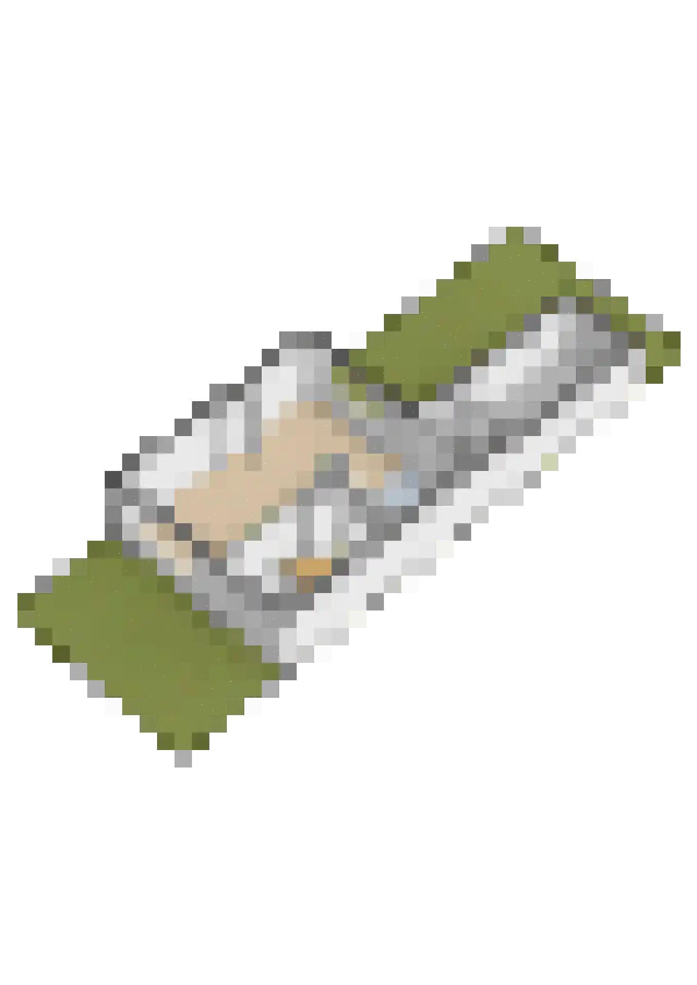 Talmastraat 18 Lekkerkerk thumbnail 39