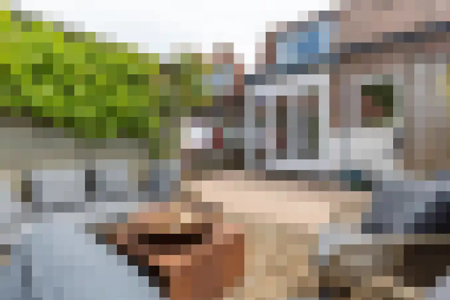 Talmastraat 18 Weesp thumbnail 32