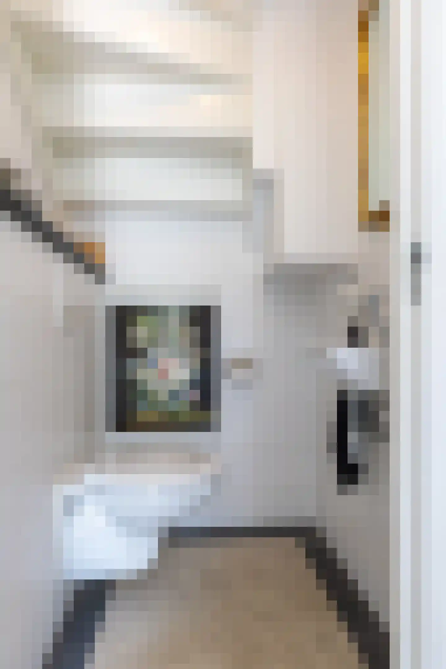 Talmastraat 18 Weesp thumbnail 7
