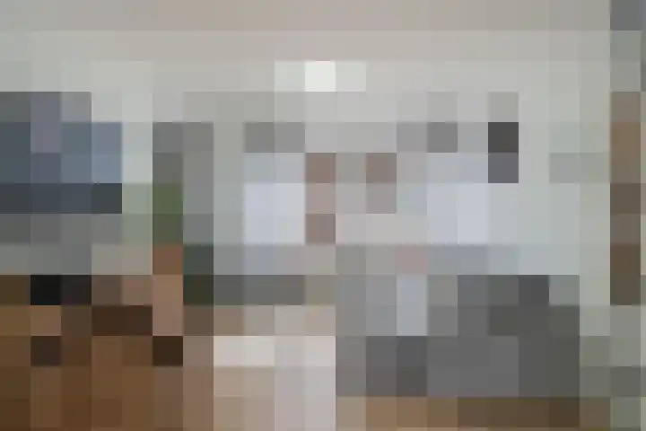 Talmastraat 18 Zaandijk thumbnail 11