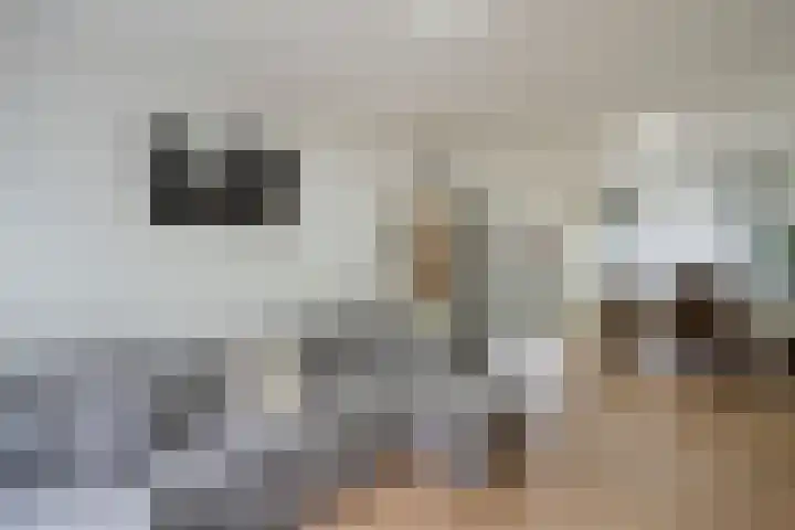 Talmastraat 18 Zaandijk thumbnail 13