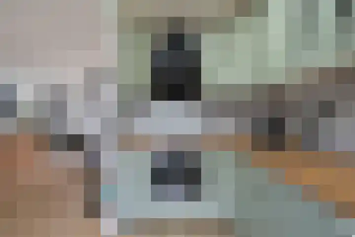 Talmastraat 18 Zaandijk thumbnail 16