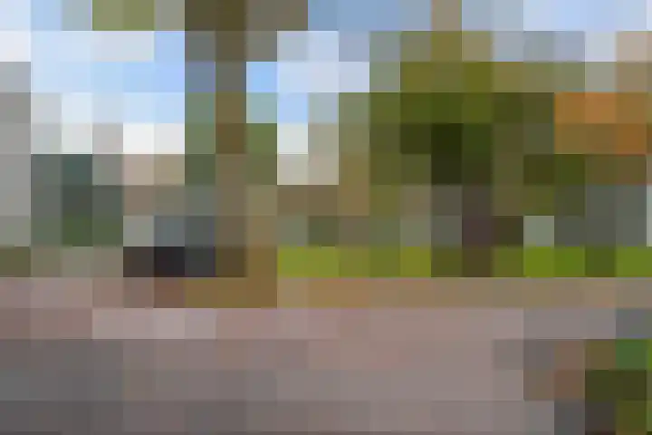 Talmastraat 18 Zaandijk thumbnail 19