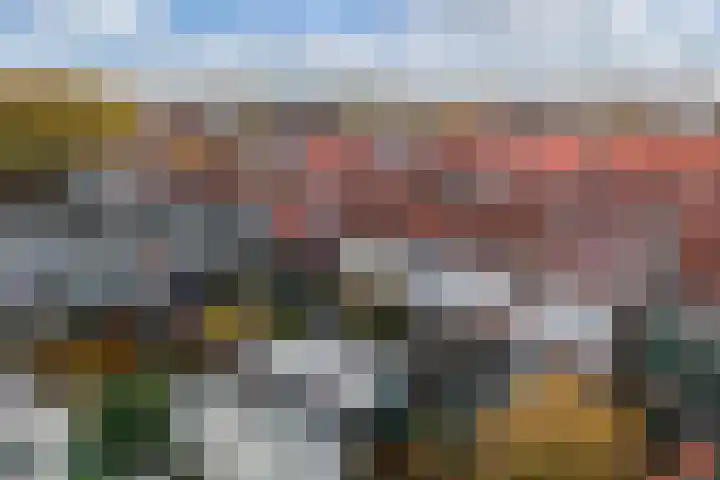 Talmastraat 18 Zaandijk thumbnail 20