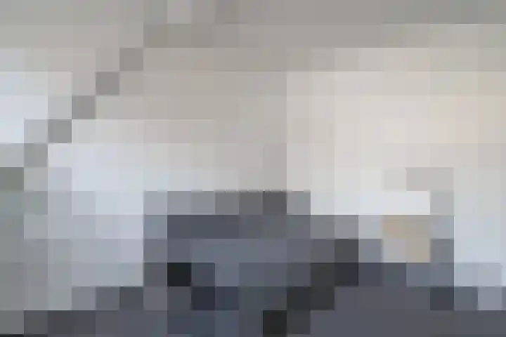 Talmastraat 18 Zaandijk thumbnail 23