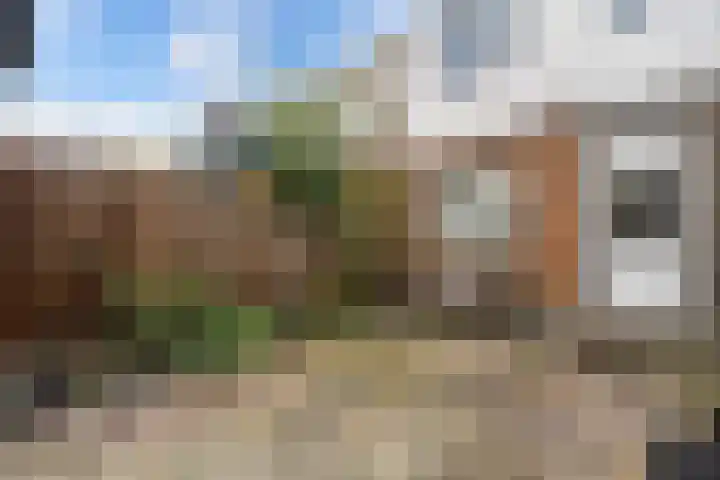 Talmastraat 18 Zaandijk thumbnail 5