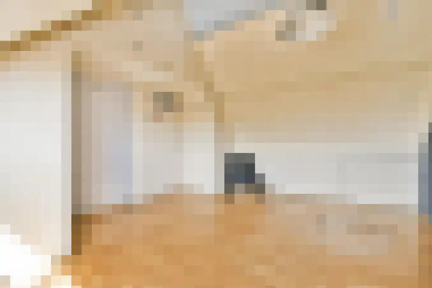 Talmastraat 2 Naaldwijk thumbnail 23