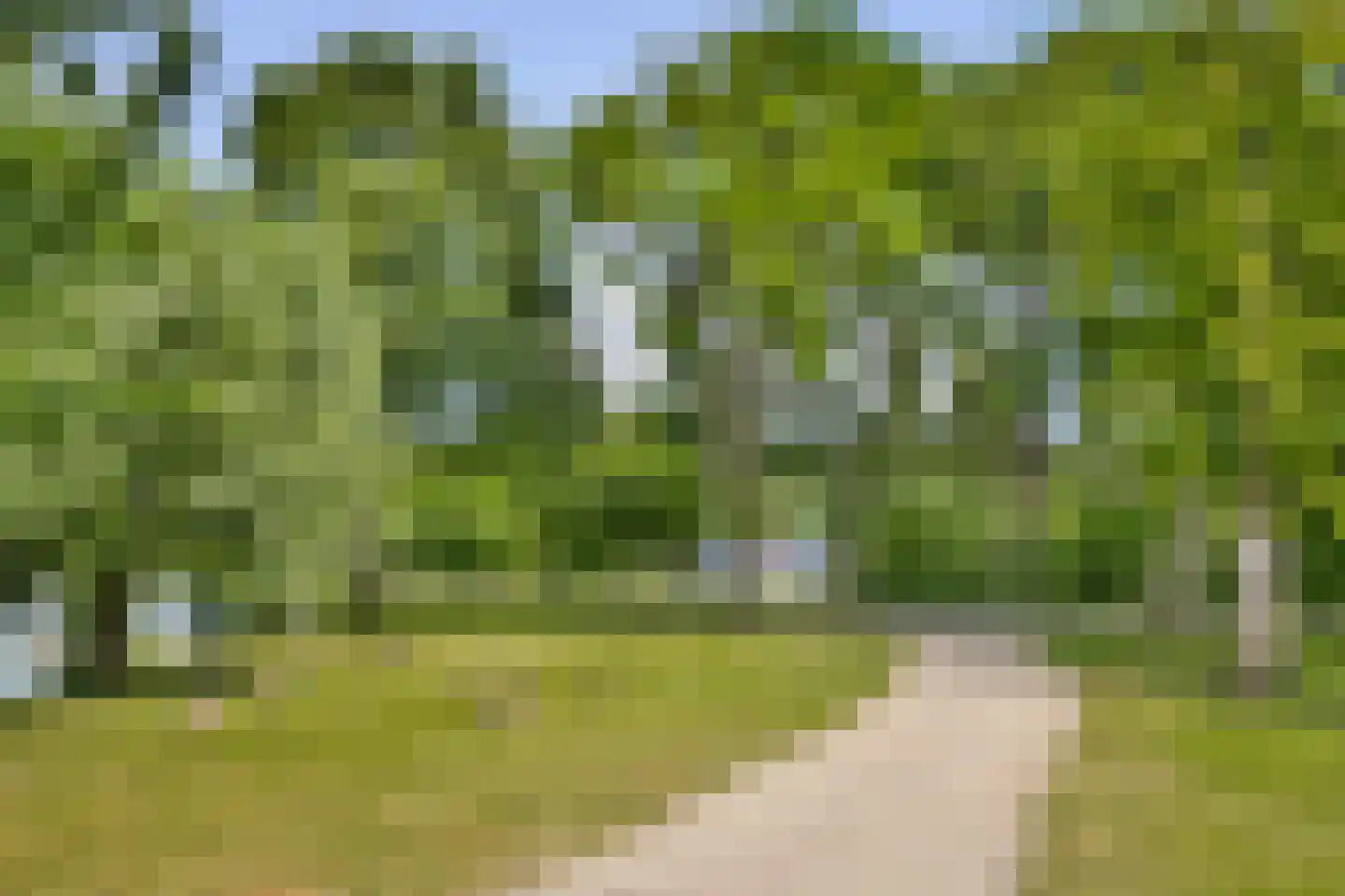 Talmastraat 2 Naaldwijk thumbnail 28