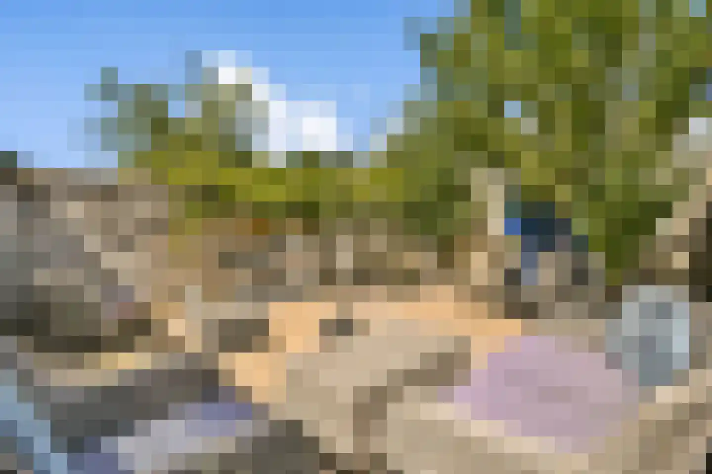 Talmastraat 2 Naaldwijk thumbnail 6