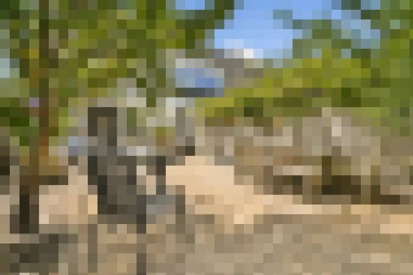 Talmastraat 2 Naaldwijk thumbnail 7