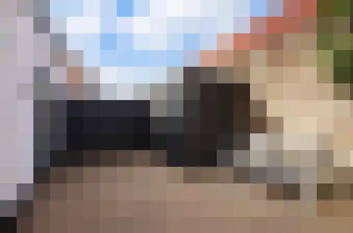 Talmastraat 2 Veenendaal thumbnail 22